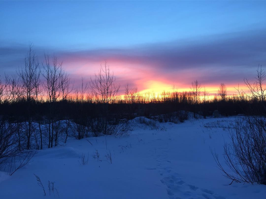 Инстаобзор АП: подледные подвиги, сказочная тайга и байки из склепа