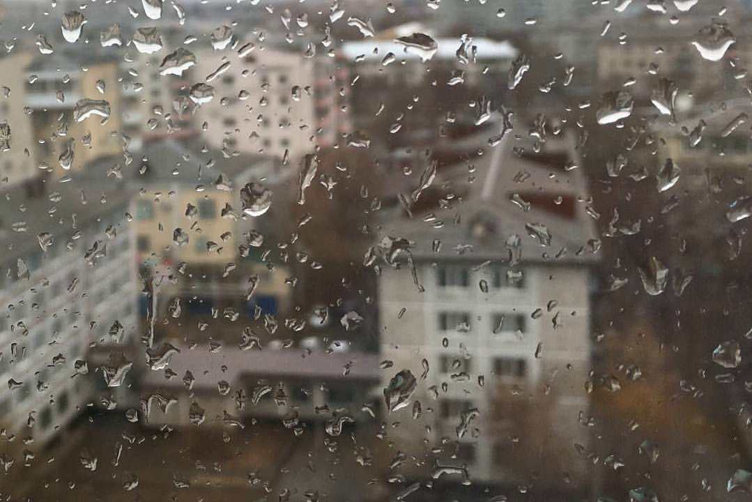 Инстаобзор АП: первый дождь, подготовка к лету и ходячий замок по-амурски