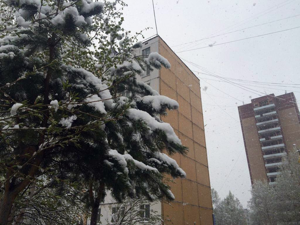 За неделю до лета в Тынде выпал снег