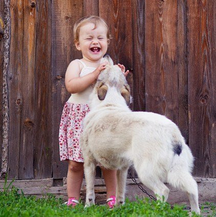 Инстаобзор АП: первая редиска, двойная радуга и фейерверк