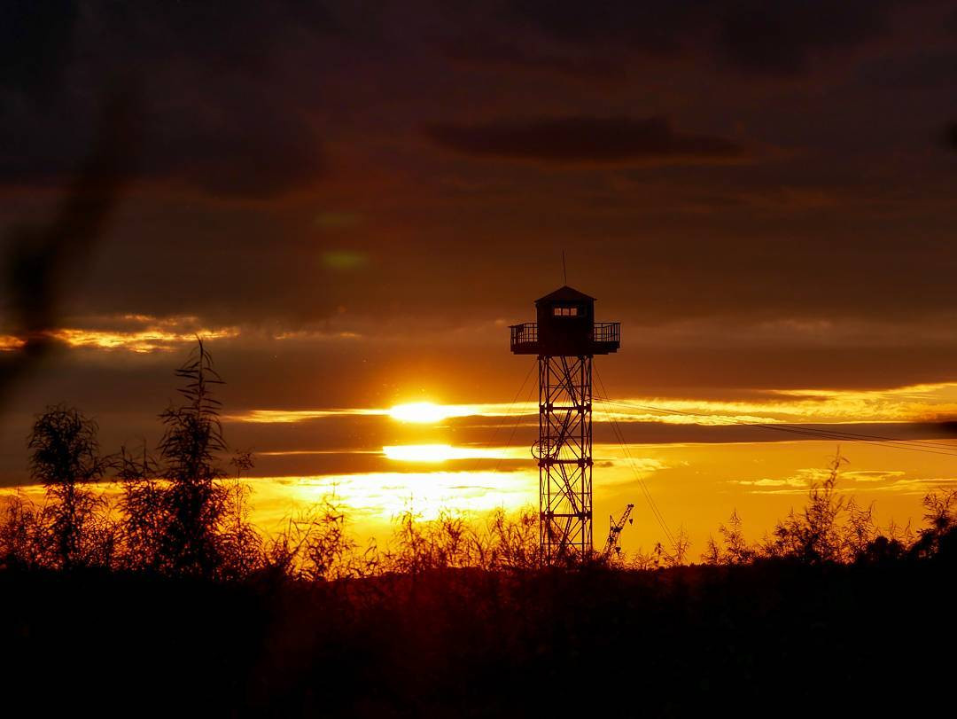 Инстаобзор АП: цветущие лотосы, купание на розовом слоне и золотой закат