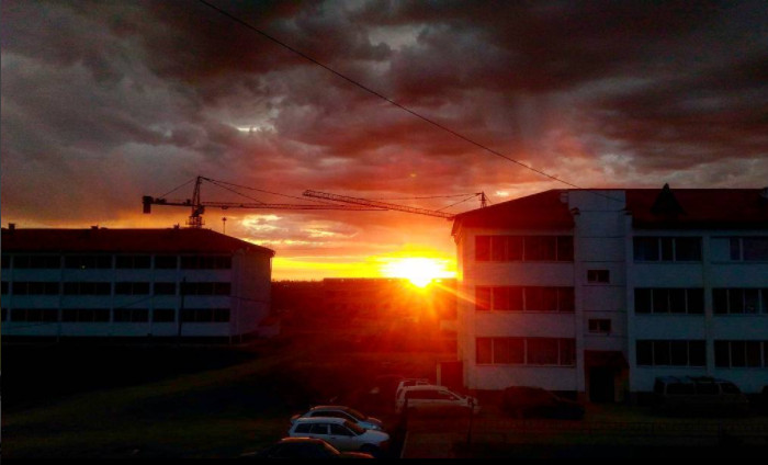 Инстаобзор АП: последняя удача, золото Тынды и лебеди из триллера