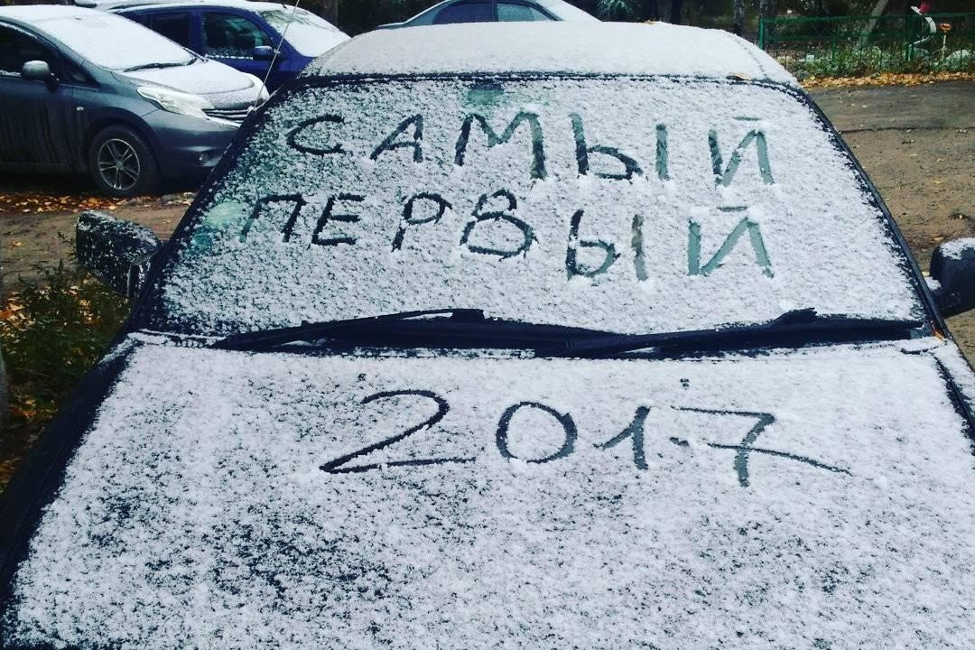 Инстаобзор АП: осенний снег, собака-мерзляка и кот-первопроходец