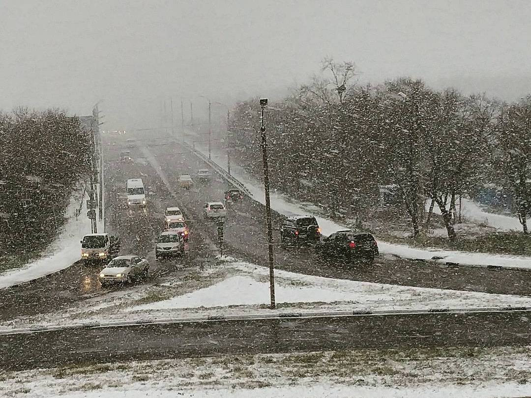 Инстаобзор АП: катки на дорогах, звезда шансона и полицейский лис