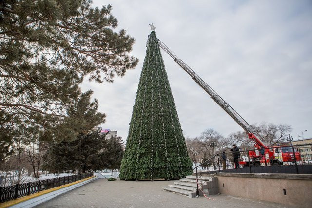 На главной площади Благовещенска установили 21-метровую ель (фоторепортаж из городка)