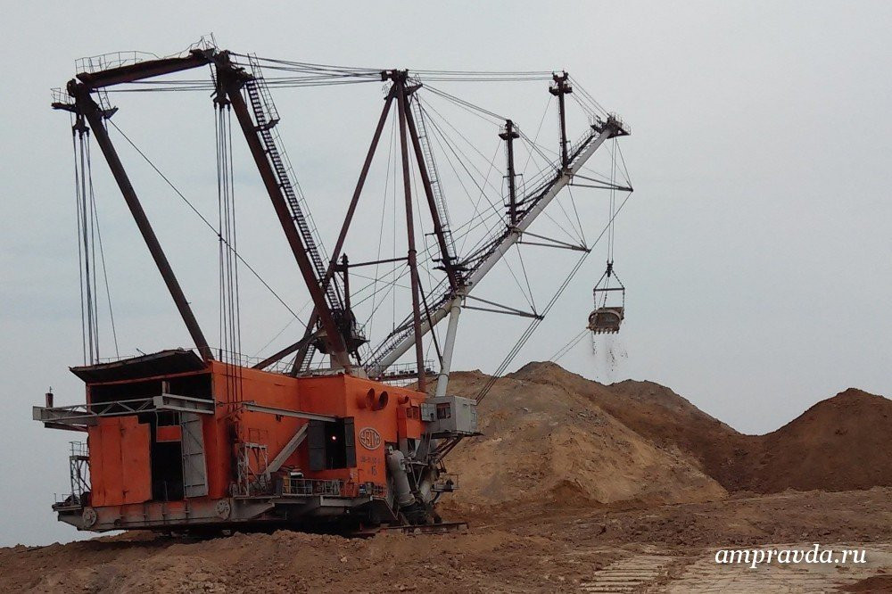 Побег поросят, самый высокий вокзал и архаринская красавица: снимки на конкурс «Фото для открытки»