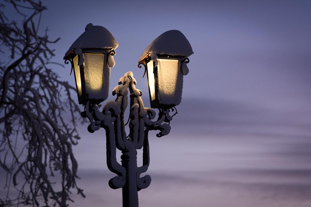 Инстаобзор АП: птичий базар, Суперлуние, сказочная зима и «поварот не работает»