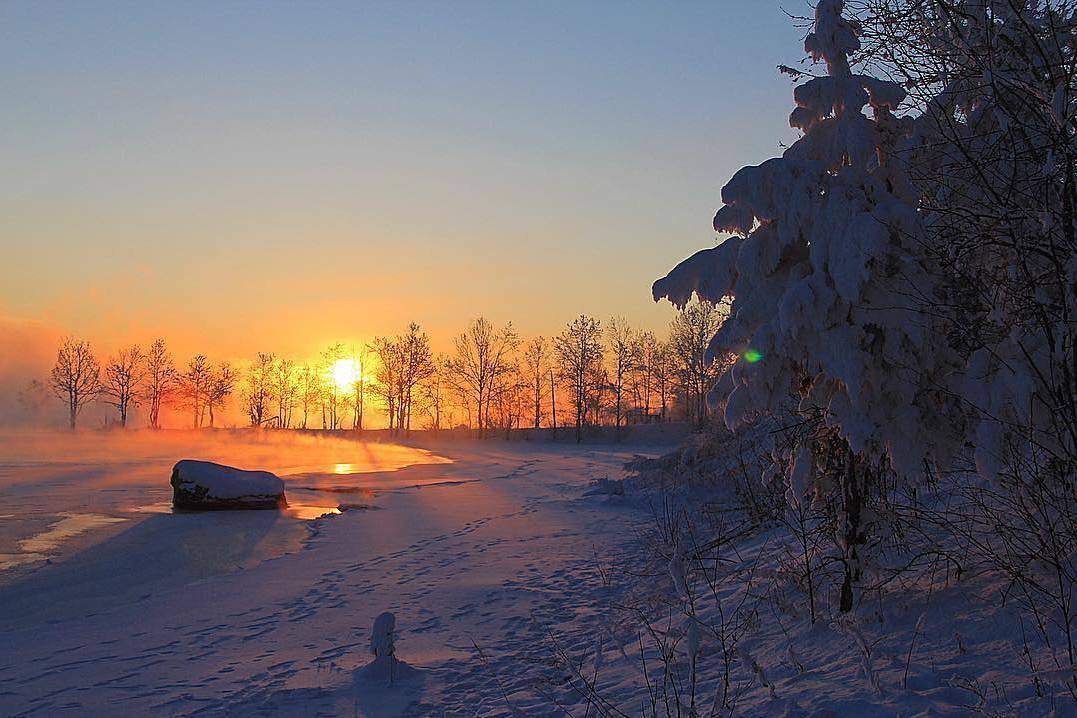 Брошенная коляска, как шантажируют зоозащитников, ледяные деревья, новый цирк: дайджест соцсетей № 1