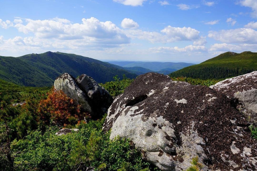 Как соседи наказали автохама, танцы в ТЦ и некрасивый снимок Благовещенска: дайджест соцсетей № 2