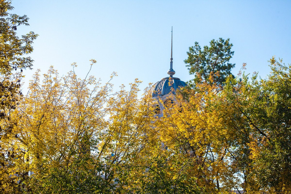 Окунуться в осень: 25 фотокадров амурской золотой поры