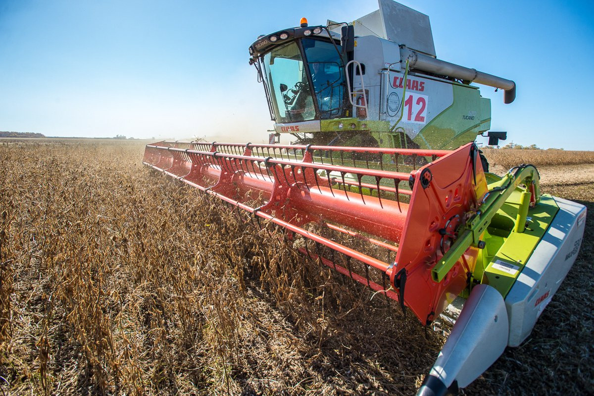 Приамурье снова идет на соевый рекорд: АП побывала на уборке царицы полей