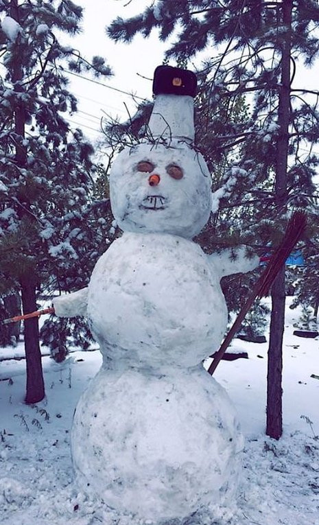 Идет волшебница-зима: амурчане поделились снимками первых снеговиков