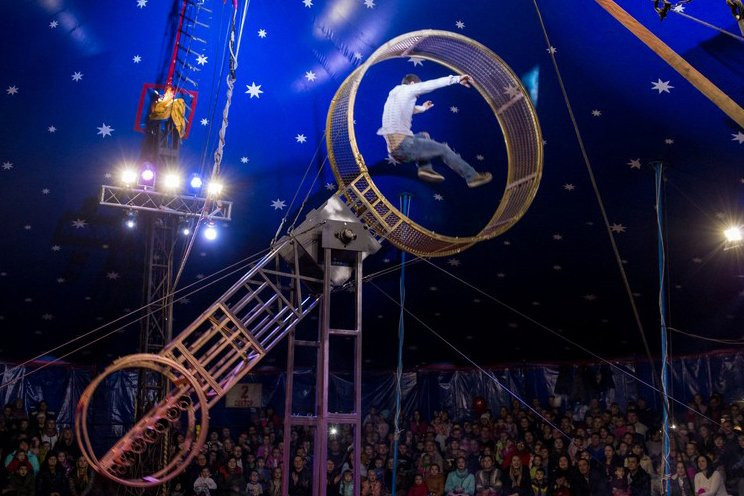 Ехали медведи на велосипеде: в Благовещенск приехал цирк «Анастасия» с уникальным медвежьим шоу