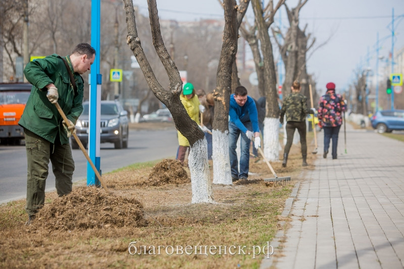 «Зеленая весна» пришла в Благовещенск: город присоединился к экологическому субботнику