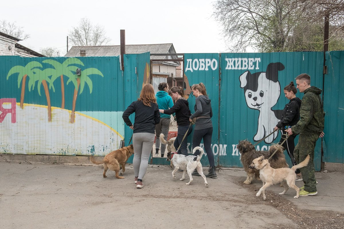 Студенты-кинологи сдали практику в «Острове спасения» (фоторепортаж)