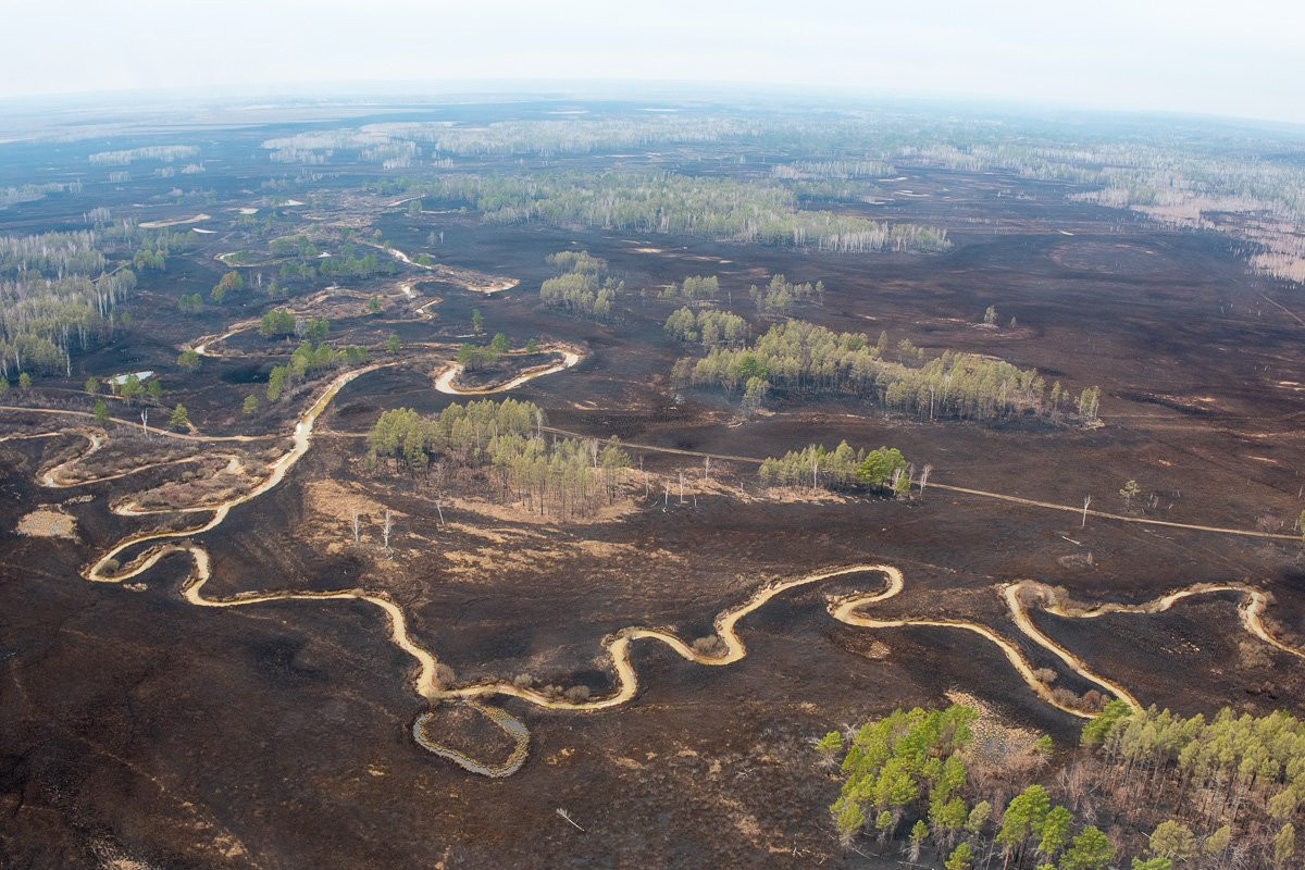 Спасти рядовой лес: репортаж АП с тушения марей у Бирминского заказника