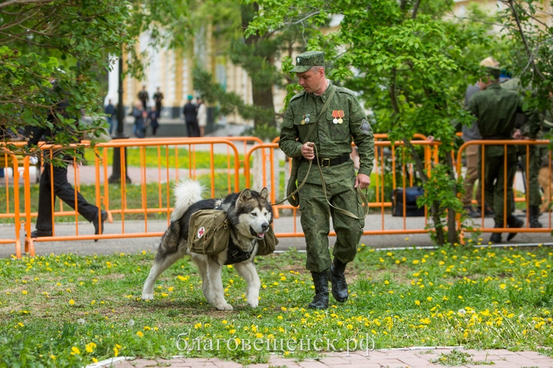Губернатор поблагодарил амурских пограничников за службу