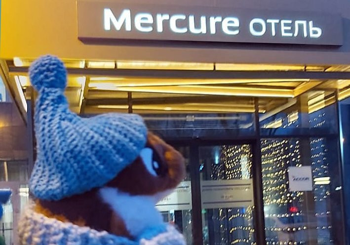 Отель французской сети Mercure открылся в Благовещенске (фото)