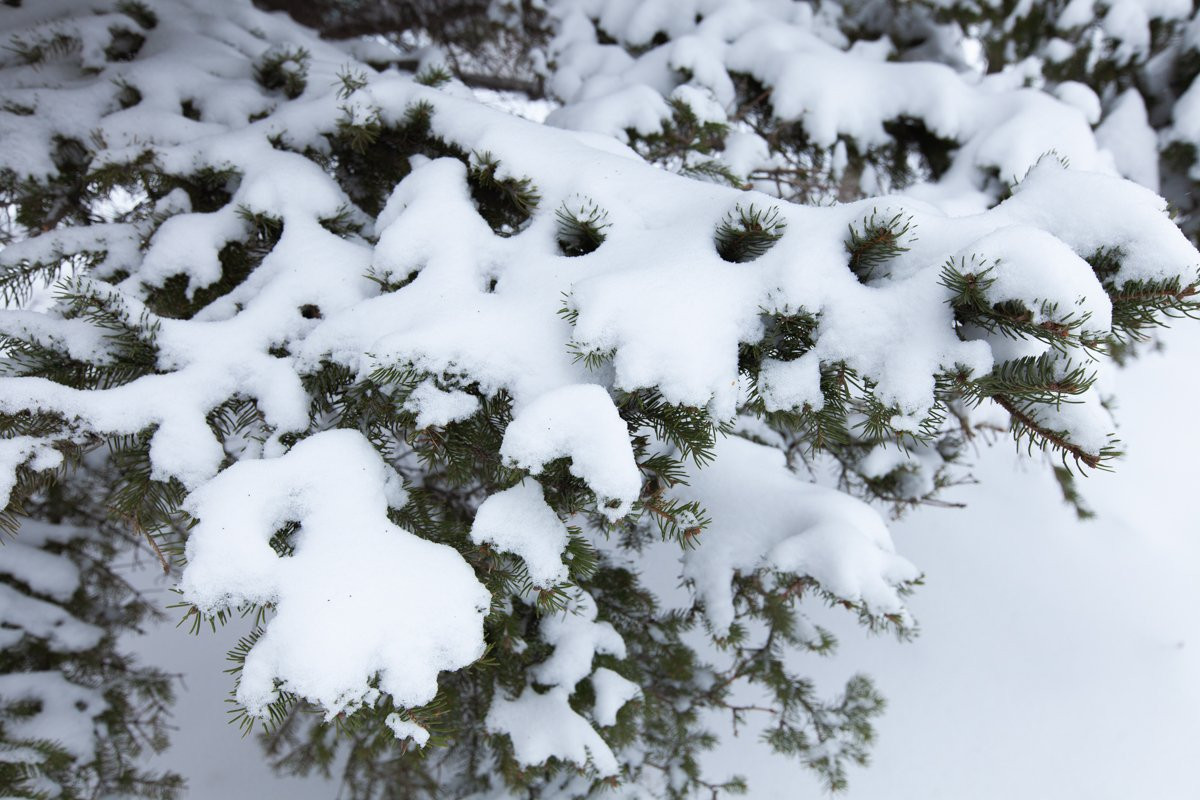 А снег идет: Благовещенск расчищают от апрельских сугробов (фоторепортаж)