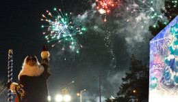 Отойдите подальше от фейерверка: глава амурского МЧС напоминает новогодние правила безопасности