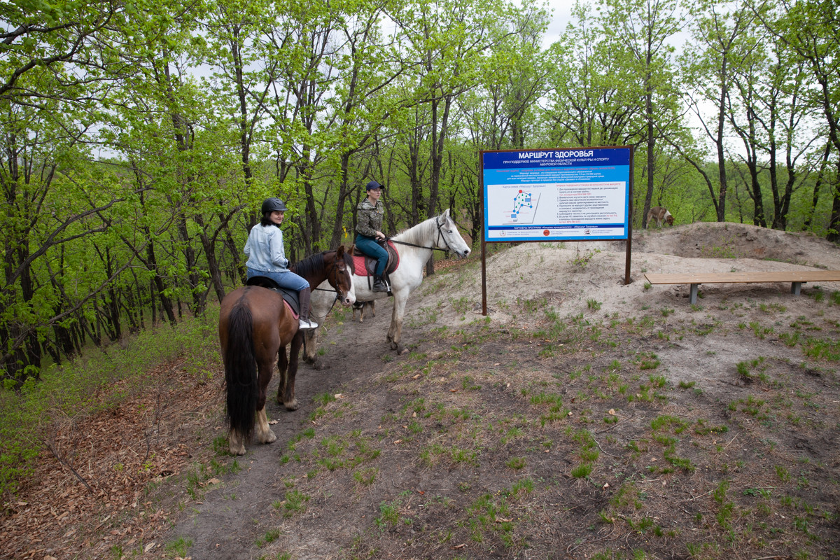 Лес, и кони, и «Контур»:прогулки с клубом «Контур» помогают по-новому взглянуть на амурскую природу