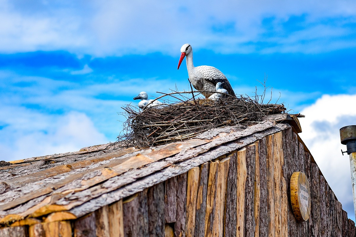 Как жили партизаны: АП прошлась по уникальному военному музею под открытым небом в Белогорске