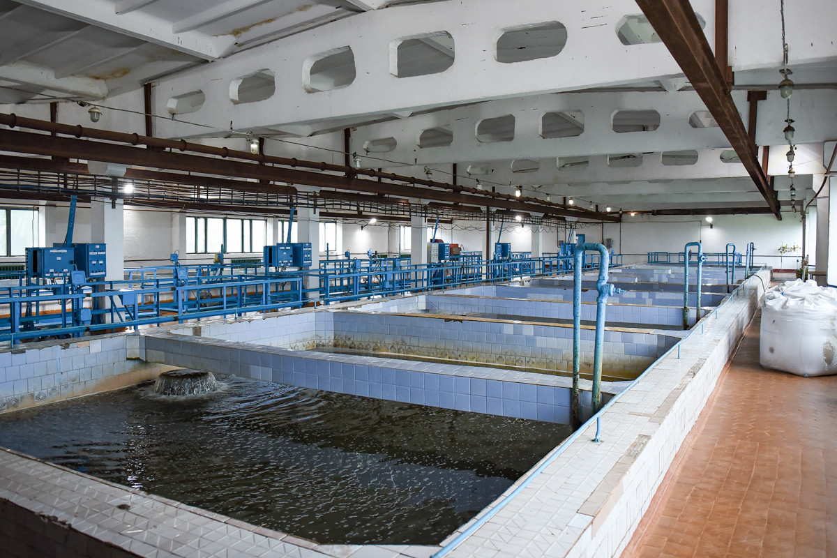 «Можете смело пить из-под крана»: как в Благовещенске очищают воду