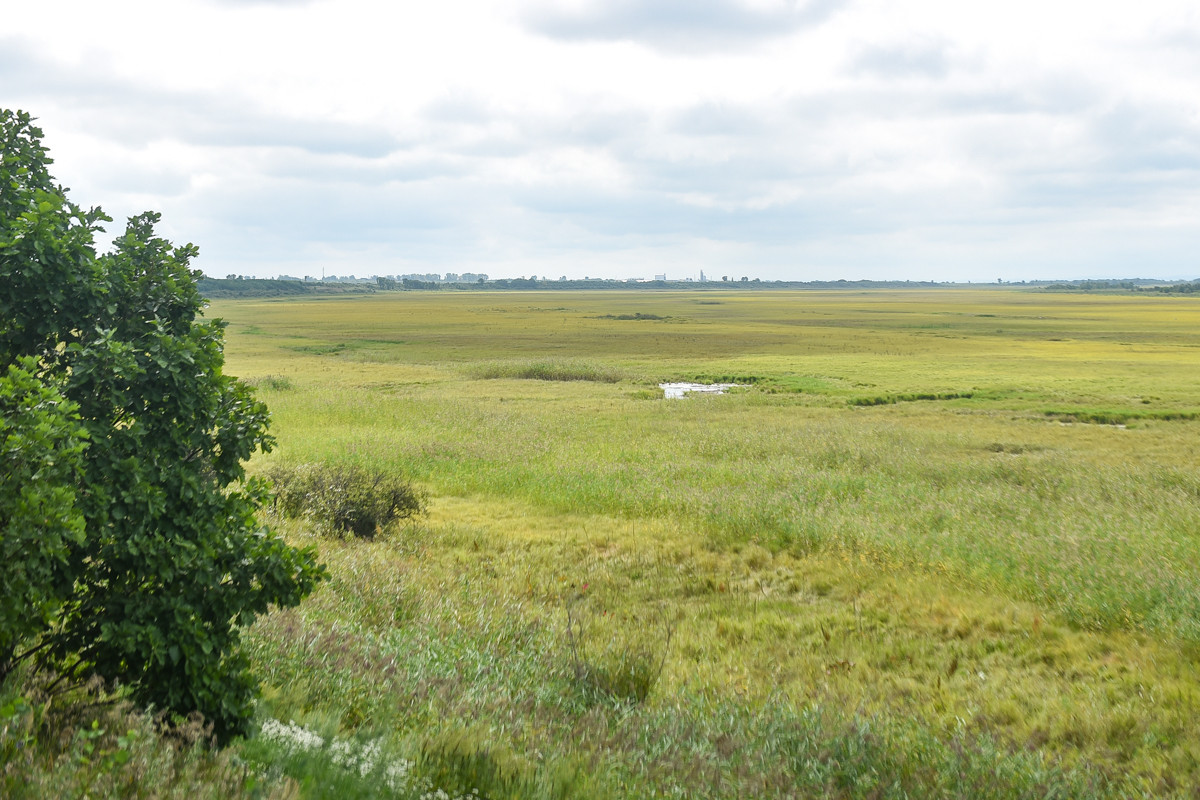 Почему Муравьевский парк мог исчезнуть с карты Приамурья: кто спас журавлиный заповедник