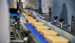 «Маасдам» с амурской пропиской: как в Благовещенске делают элитные полутвердые сыры