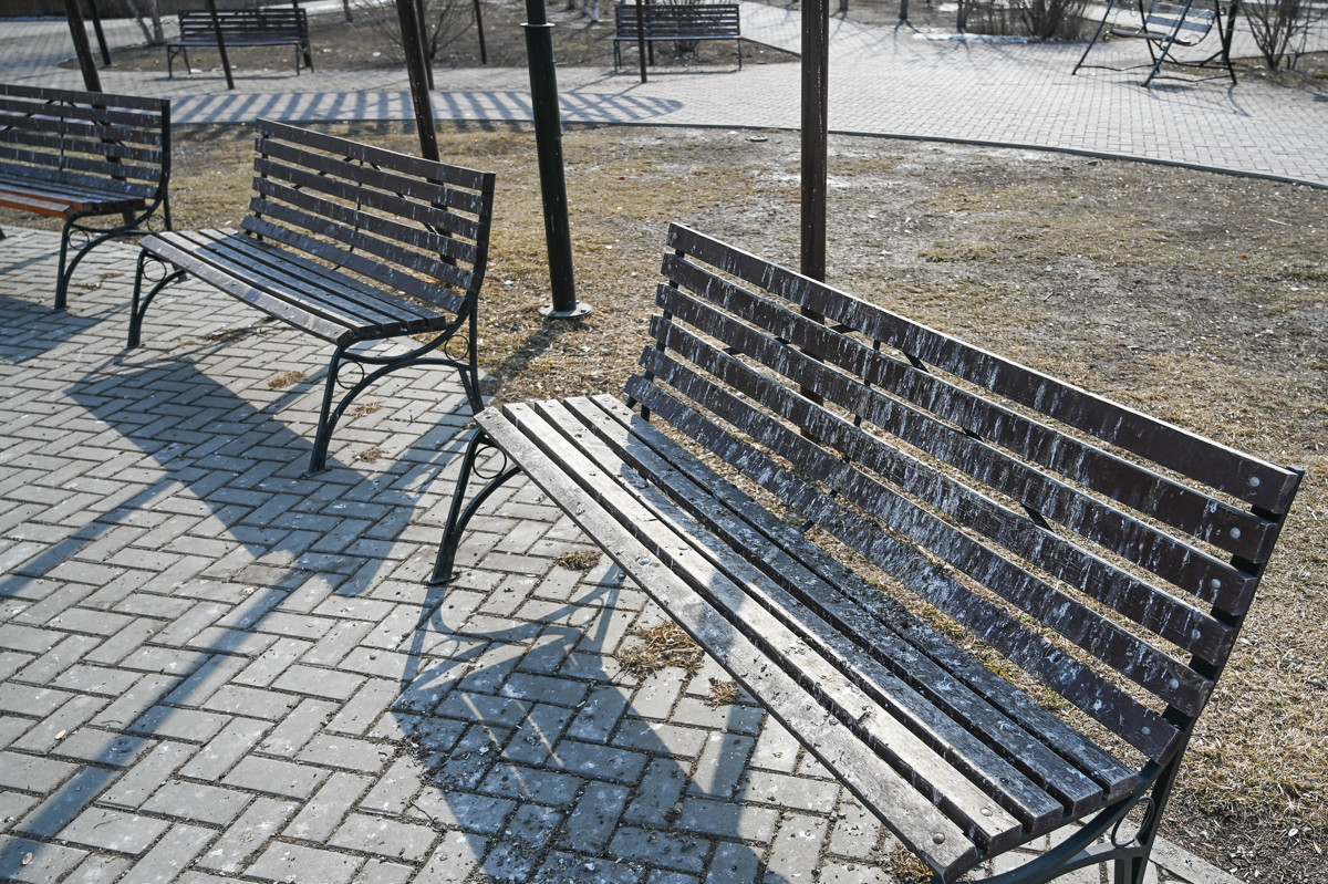 Как спасти сквер от голубей: популярное место отдыха в Благовещенске испортила стая птиц