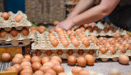 Почему в Благовещенске к Пасхе подешевели яйца