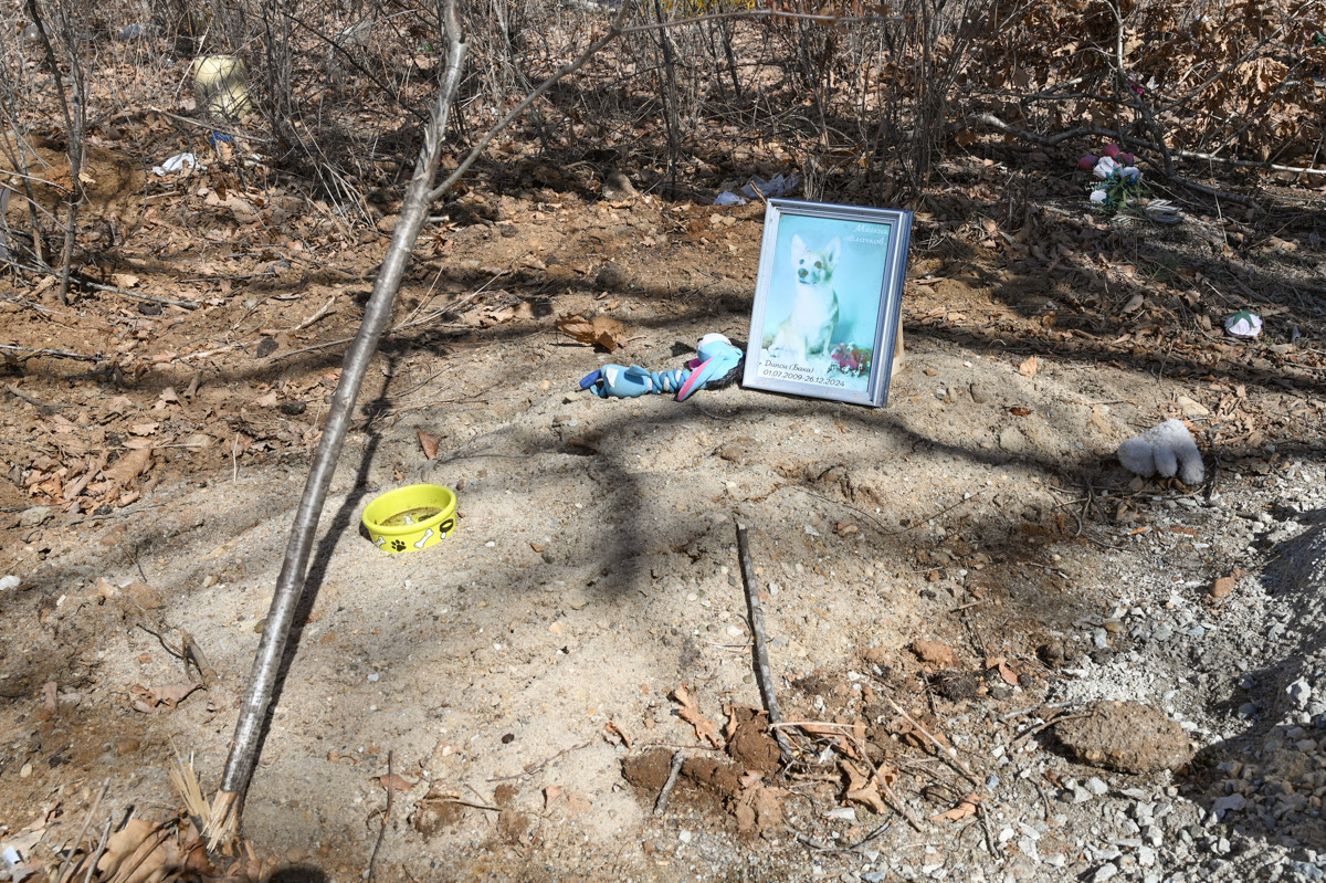 Кладбище домашних животных вне закона: как амурчане прощаются с питомцами (фото)