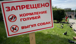 Таблички о запрете кормления голубей установили в сквере в центре Благовещенска