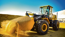 Остаться лидерами в соевой гонке: кому нужны амурские бобы и чего ждать после запуска нового завода