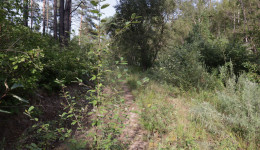 Неиспользование 4000 гектаров сельхозземель в Приамурье привело к расторжению трех договоров аренды