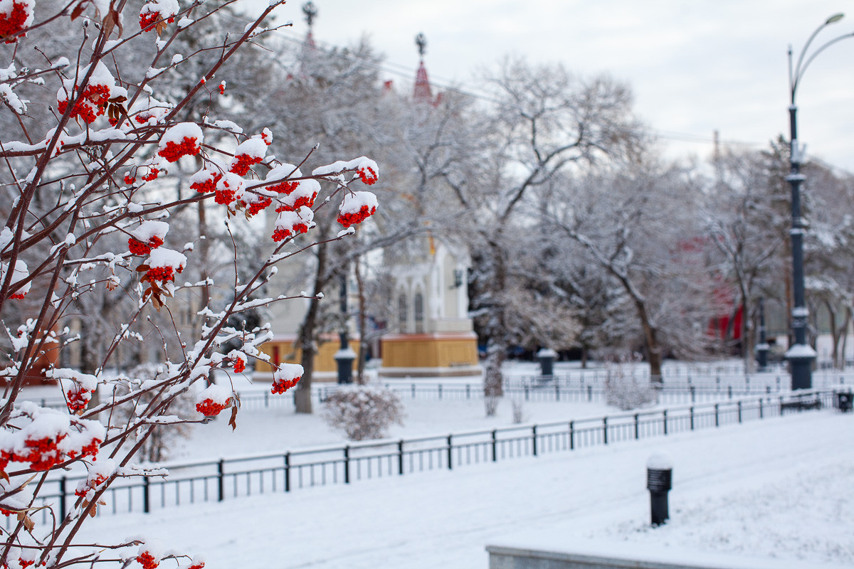 Благовещенск накрыло снегом: фоторепортаж «Амурской правды»