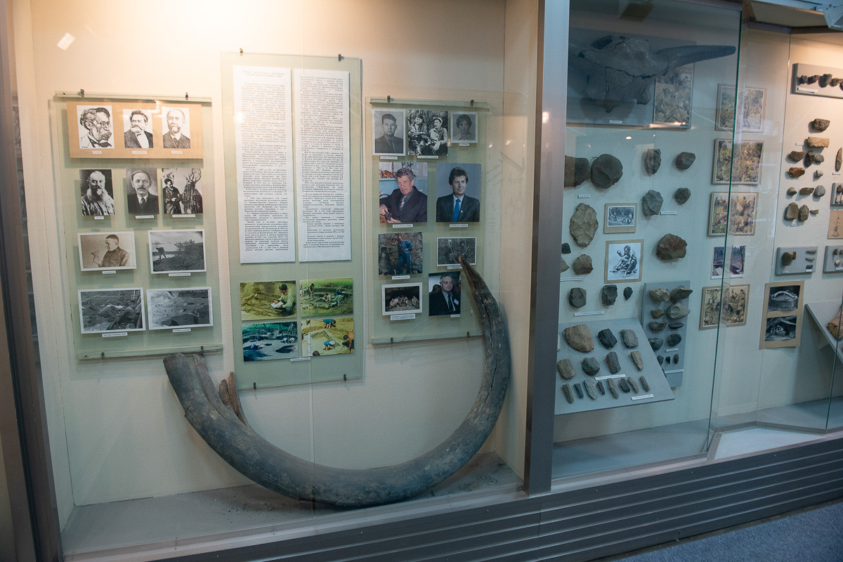 Кто головой воина капусту солил: 5 главных загадок археологического музея БГПУ