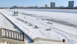 На реке Амур в Благовещенске появится Центр закаливания