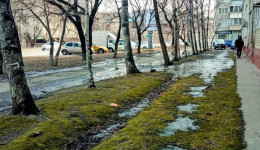 Четыре улицы Благовещенска начнут ремонтировать в 2026 году