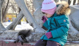 В Белогорске установят 12 мини-скульптур белок