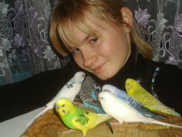 Мои пернатые друзья