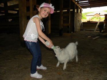 Коза и егоза