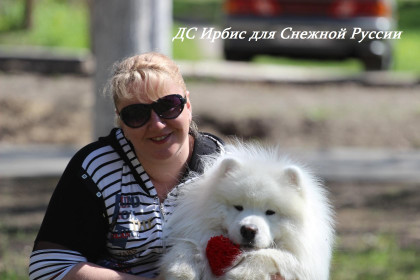 Ирбис - моя любовь