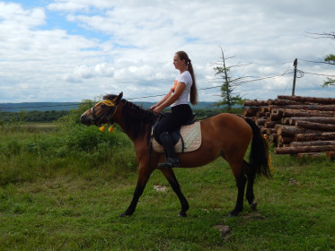 Албазинская амазонка