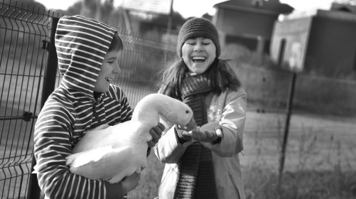 Шею тянет и шипит. Ущипнуть всех но