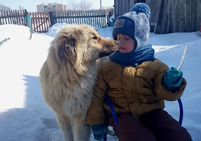 Ну дай сосульку лизнуть, а?