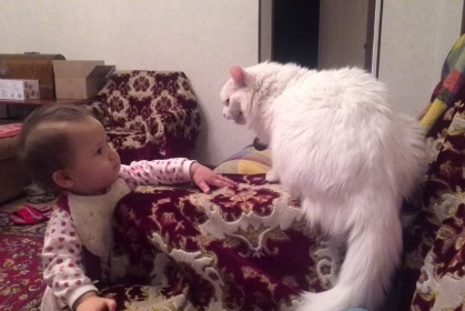 душевный разговор