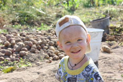 На картошке