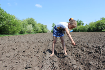 Что посеешь,то и пожнёшь!