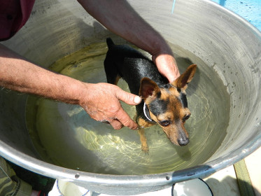Подстрахуйте!